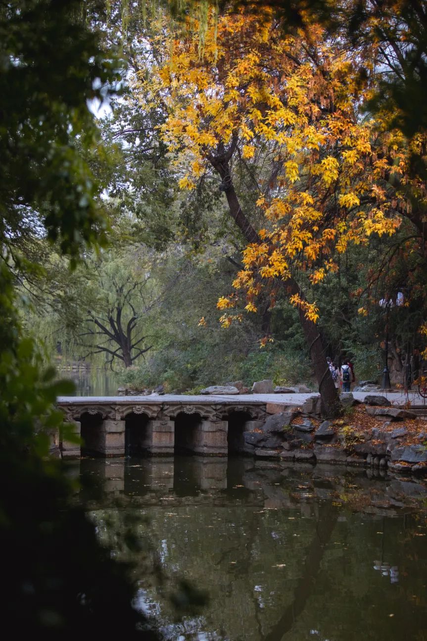 鐘潔嵐-秋-未名湖邊橋.jpg